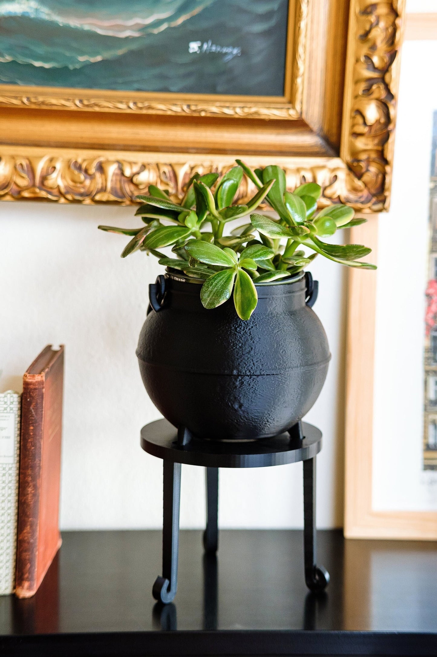 Potions Class Cauldron Planter With Drip Tray | 3D Printed