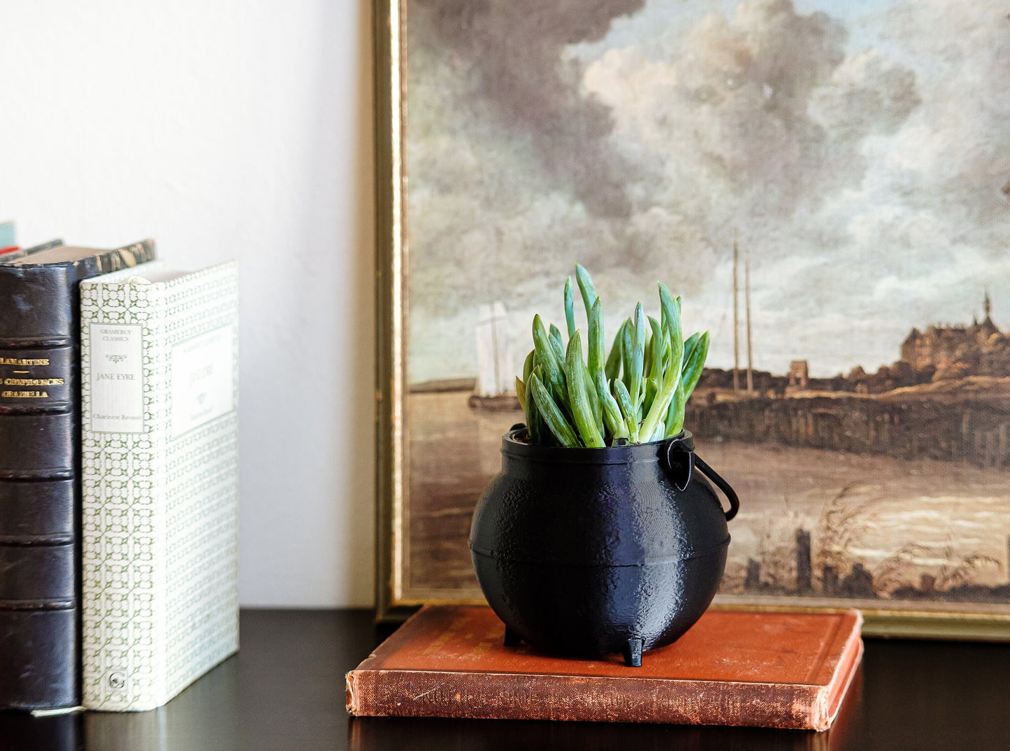 Potions Class Cauldron Planter With Drip Tray | 3D Printed